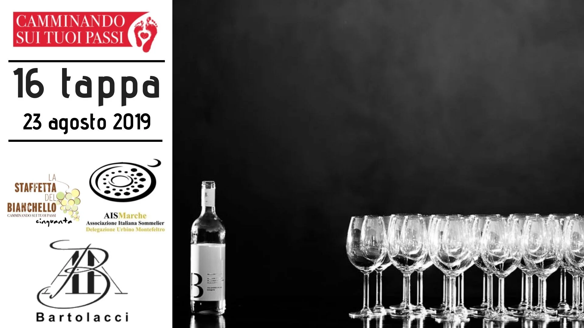 16 tappa de la staffetta del bianchello az ag bartolacci biologico errante marchigiane bianchello del metauro colli pesaresi