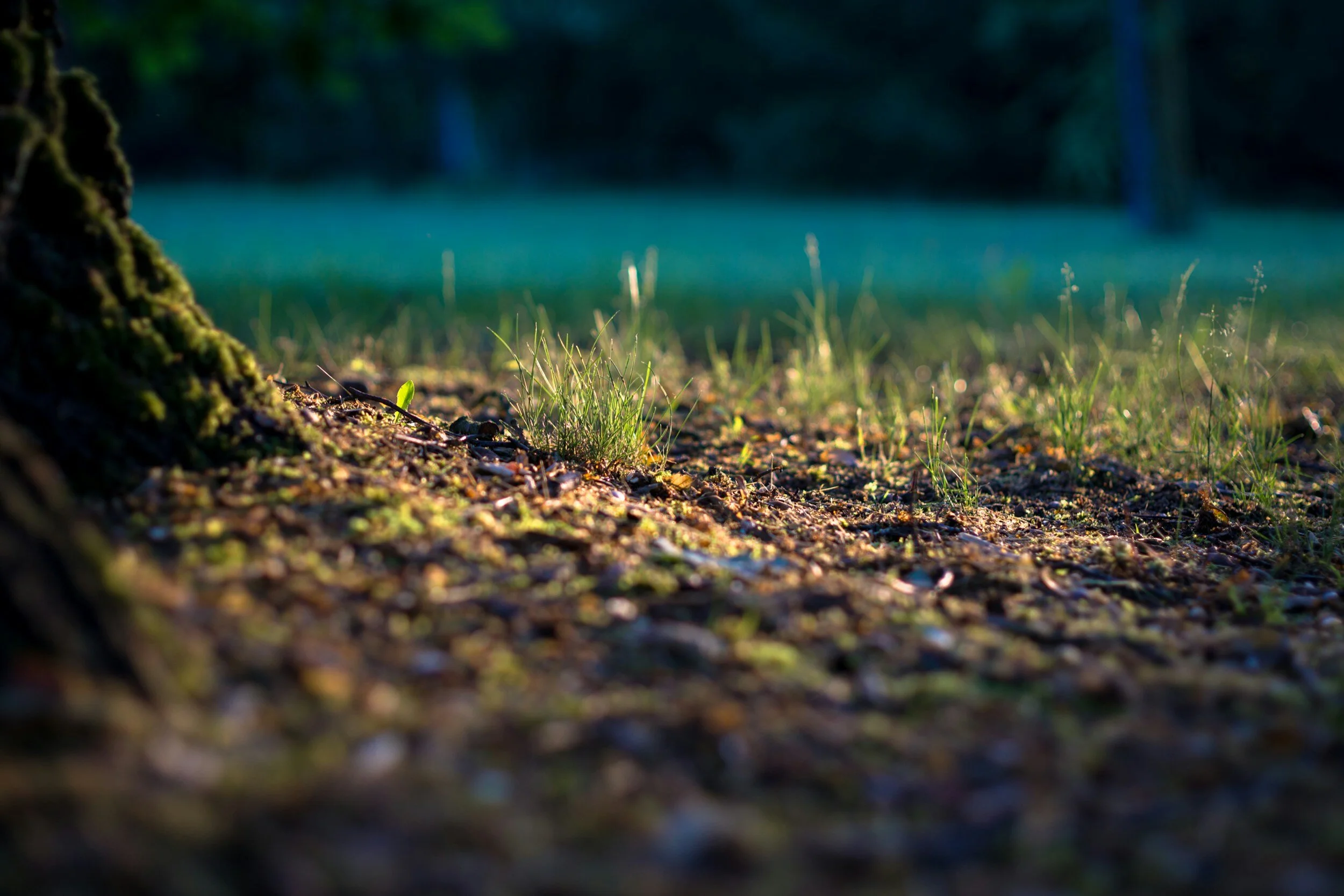 Grounding Techniques