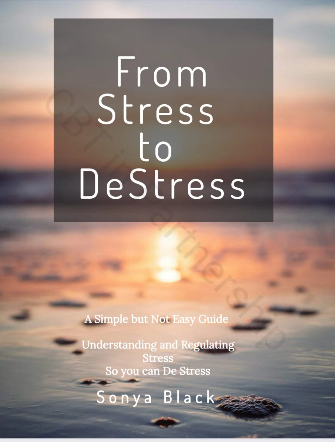 Ebook 1 front cover.jpg