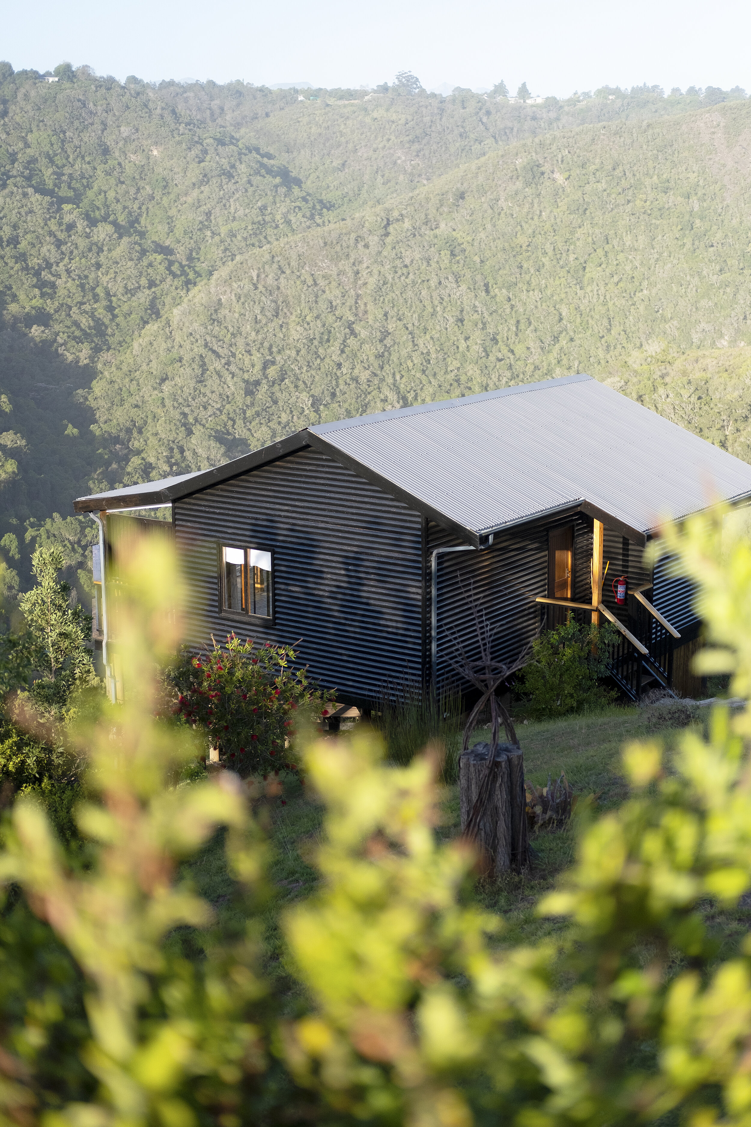 Nima Lodge Mischke Bosse