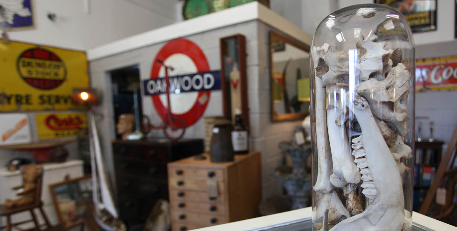 LostyAntiques1.jpg