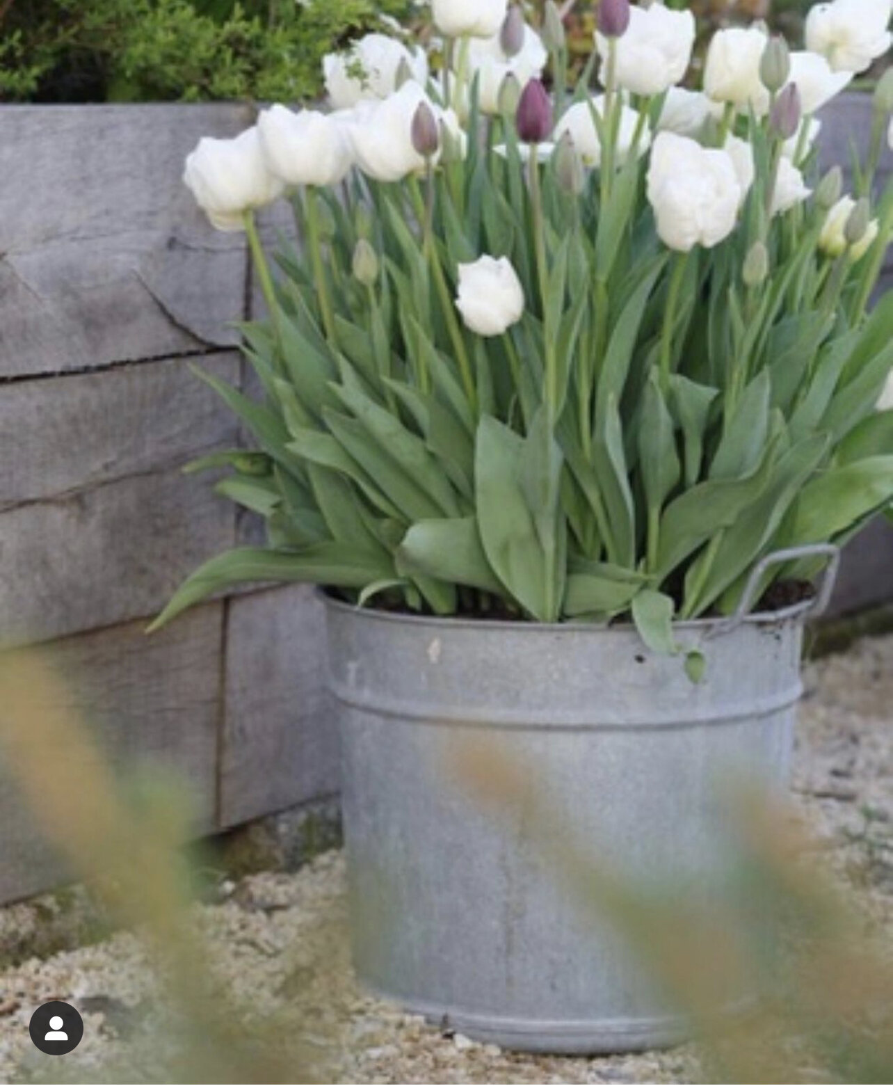 D58208CB-A99B-4F24-832C-CA5043E6880C