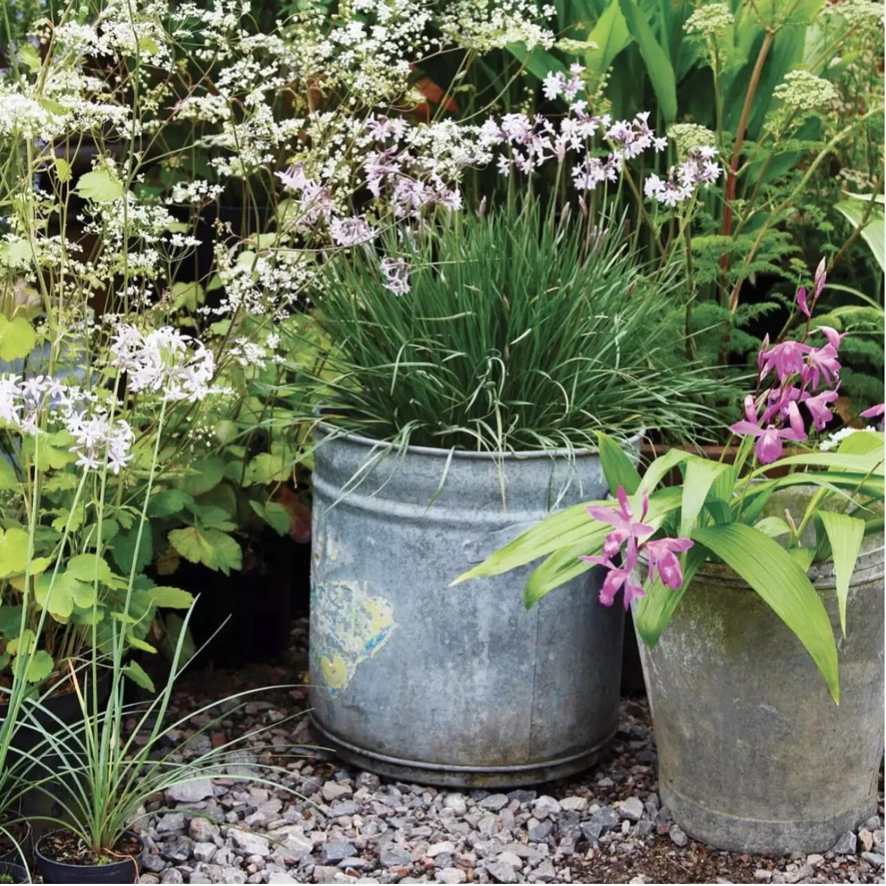 85517310-EC8C-4AF8-AD9A-183941A554A6