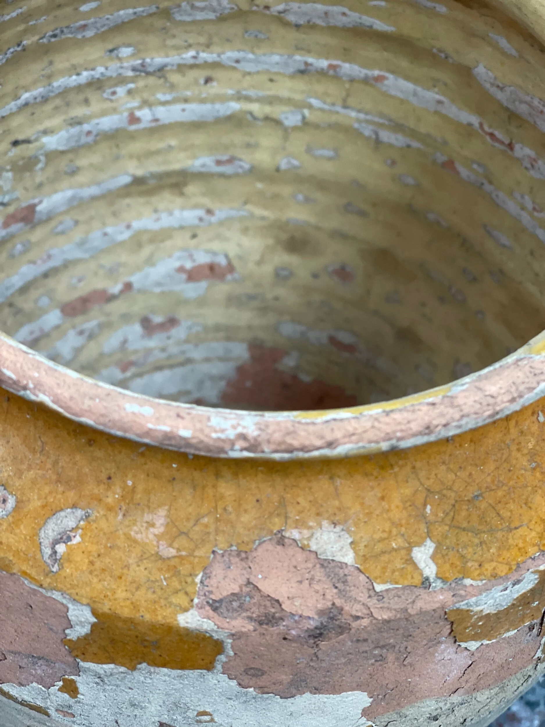 E7434F7C-4372-42F5-BA99-9074A01090FD