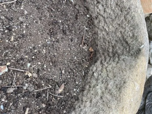 A82DFDFB-77AF-4402-A3C5-0060C4E9BCF4