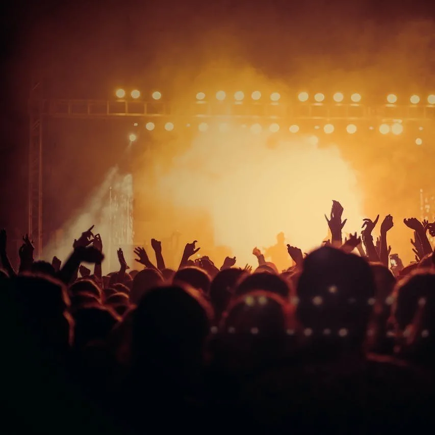 Festivals For A Cause&nbsp;