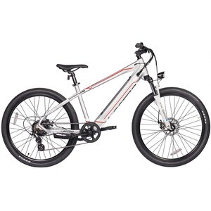 Lectro electric bike hotsell