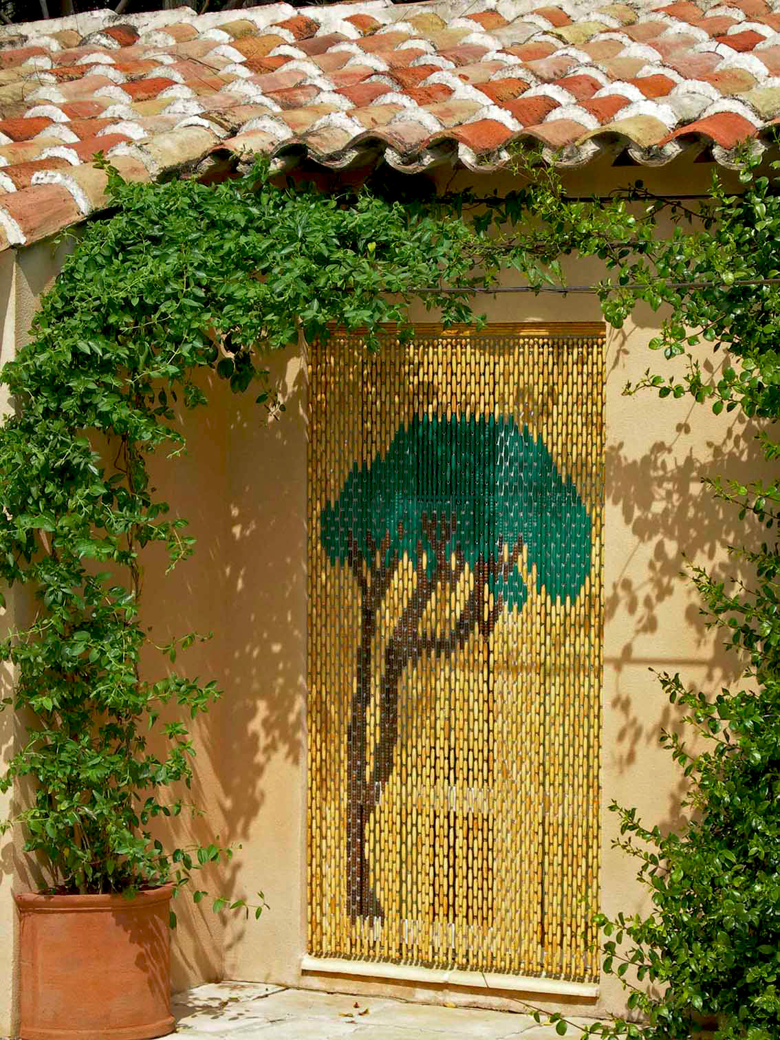 • “Pin Parasol” Natural boxwood background