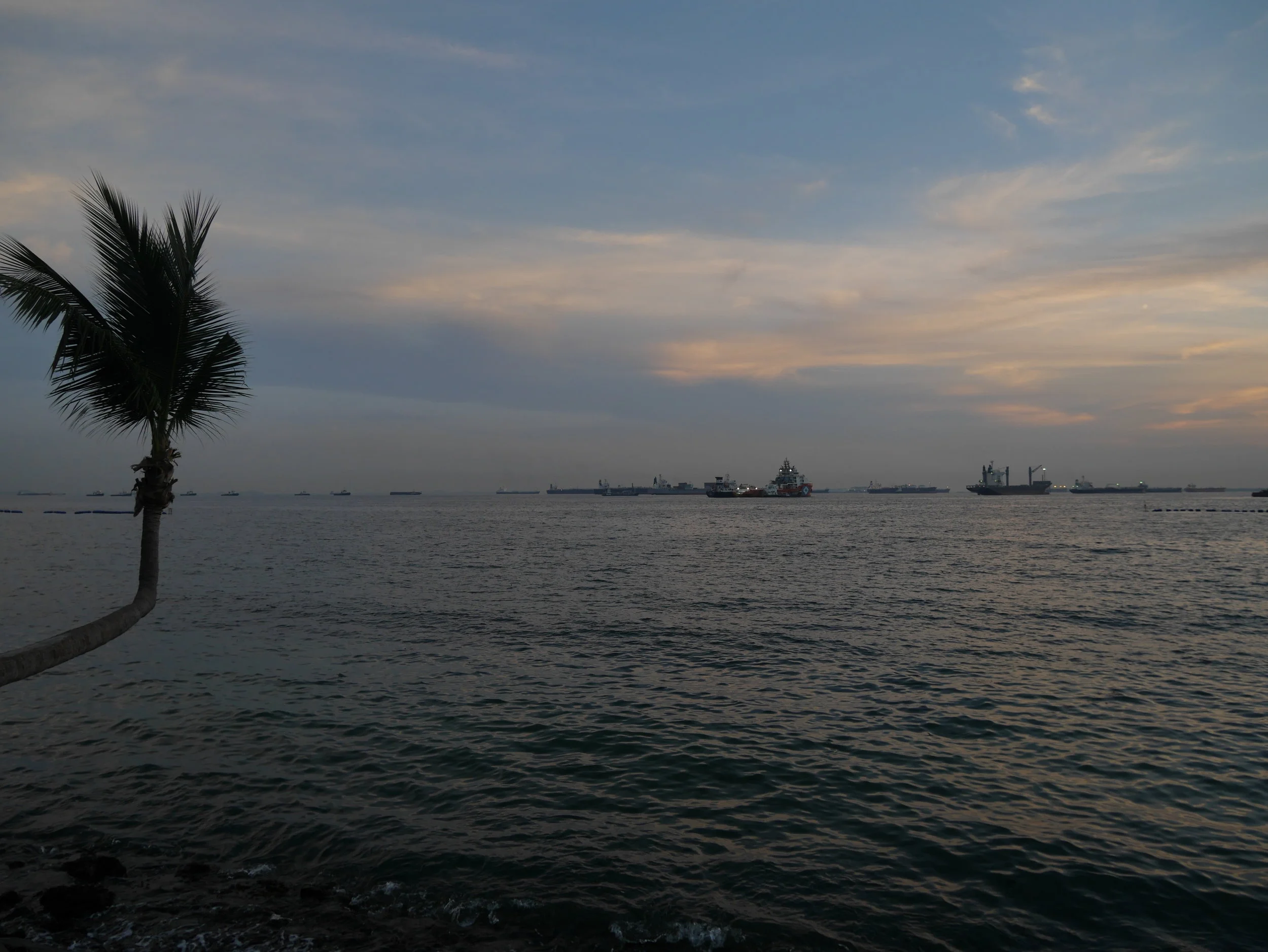 P1000210.JPG