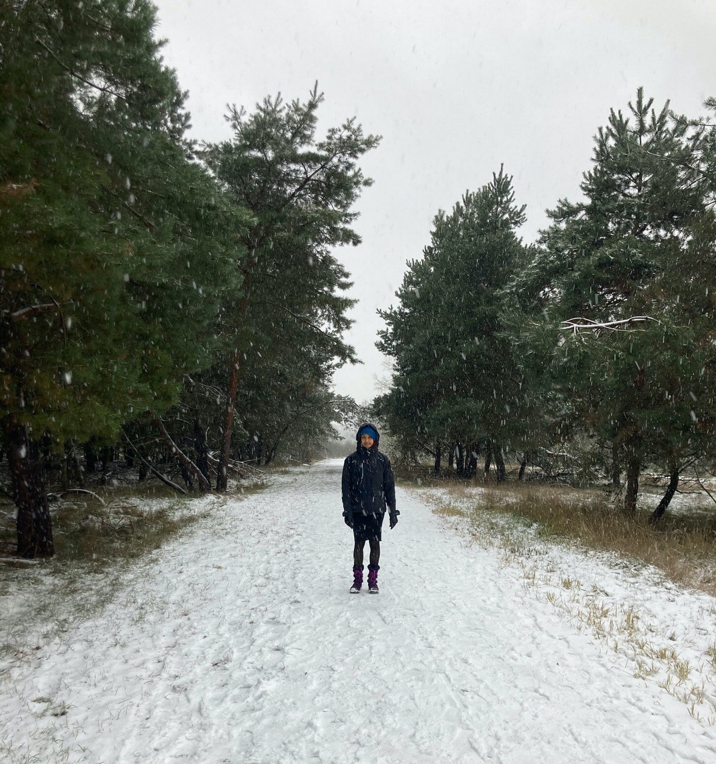 2021 #1: Am I the only one obsessed with snow?