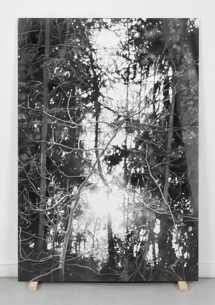Solnedgang ved Lutvann, 2016. Blyant på papir montert på aluminium, 120 cm x 80 cm. // Sunset by Lutvann, 2016. Pencil on paper mounted on aluminium, 120 cm x 80 cm