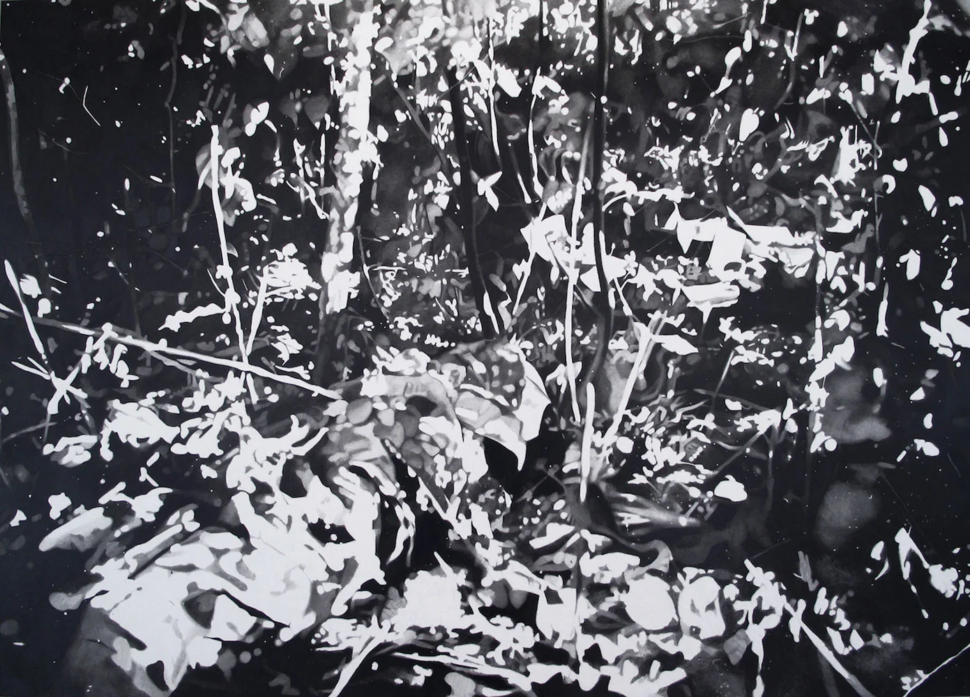 Skogbunn, 2011. Blyant på papir montert på aluminium, 100 cm x 140 cm. // Forest Floor, 2011. Pencil on paper mounted on aluminium, 100 cm x 140 cm
