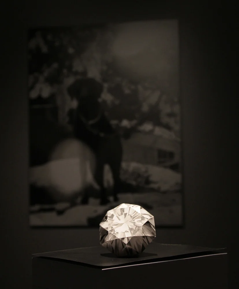 Sámi Dáiddaguovddáš, 2012 // Samisk Senter for Samtidskunst, 2012 // Sámi Center for Contemporary Art, 2012
