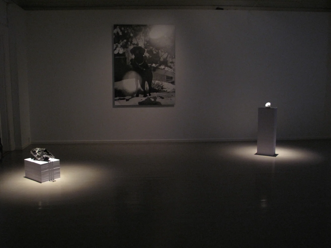 Oslo Kunstforening, 2011