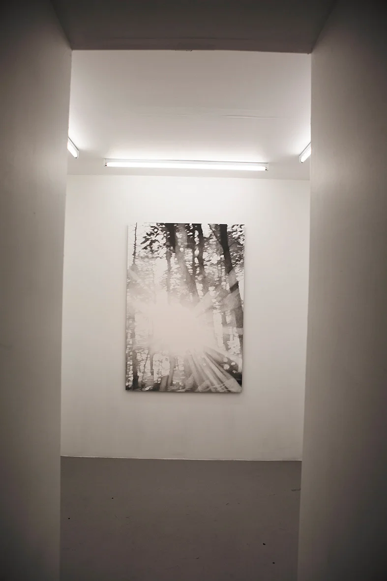 Kurant, 2017