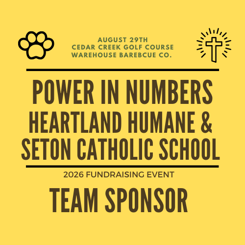 Power in Numbers Team Registration 10am