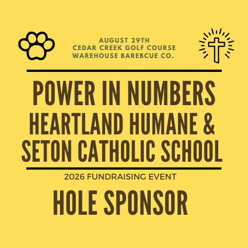 Power in Numbers  HOLE SPONSORSHIP