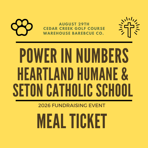 Meal Ticket.png