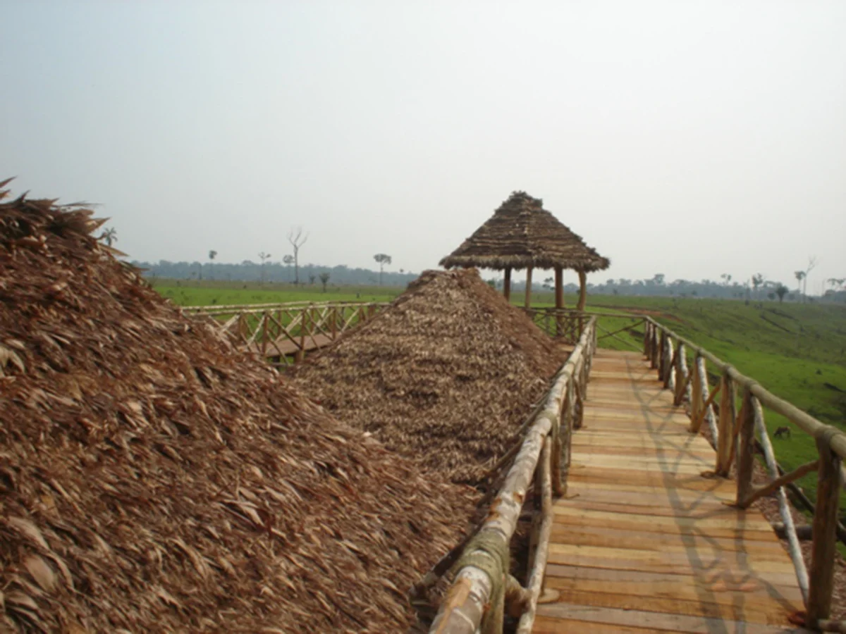 SERINGAL06.jpg