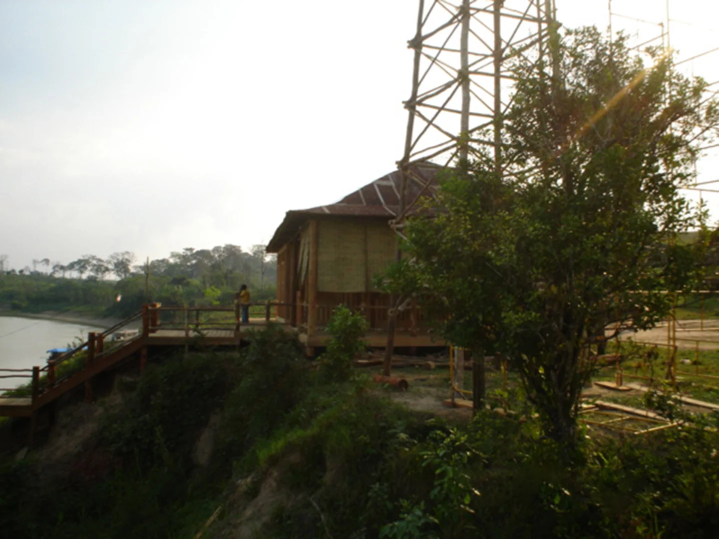 SERINGAL09.jpg