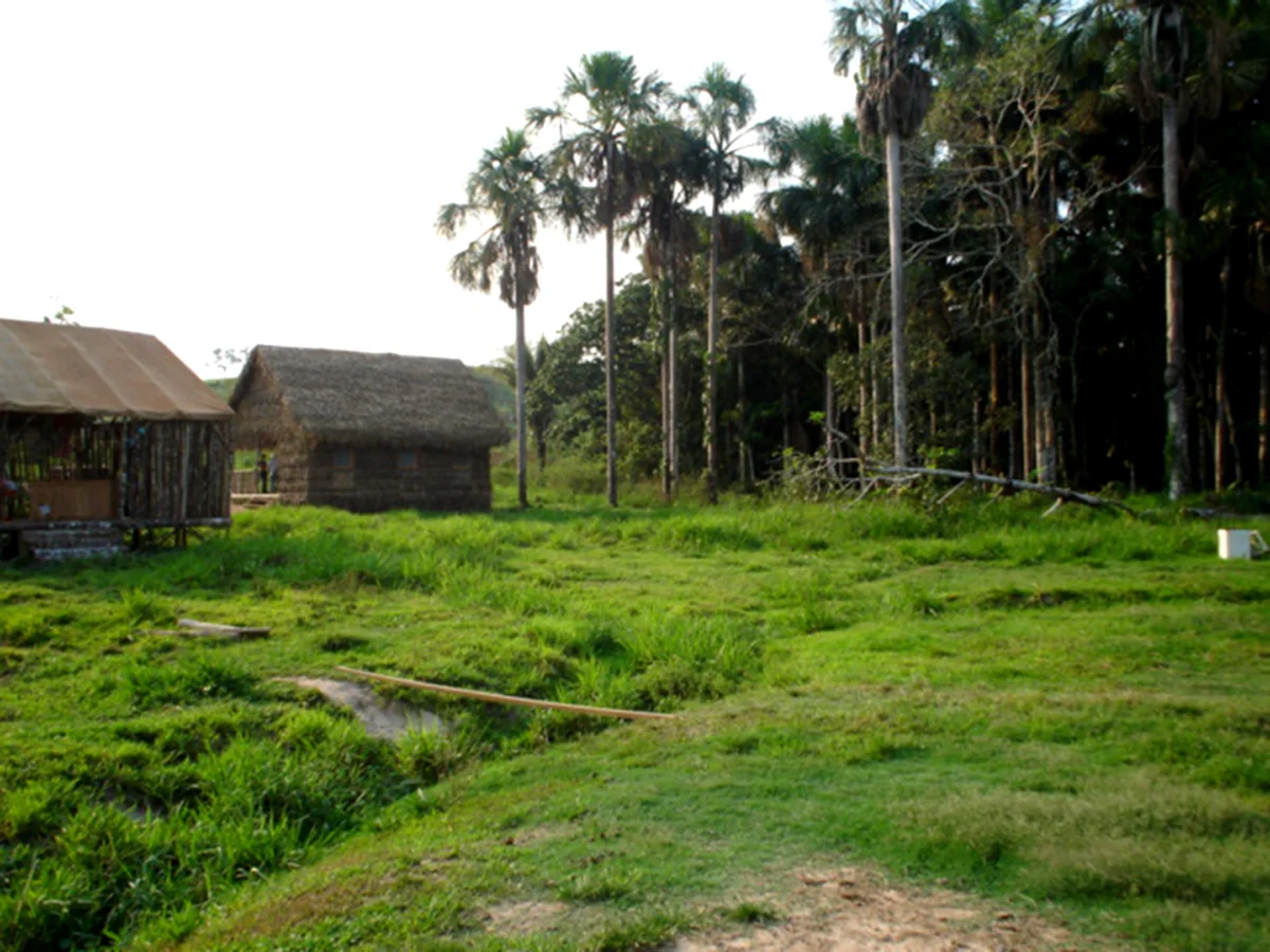 SERINGAL12.jpg
