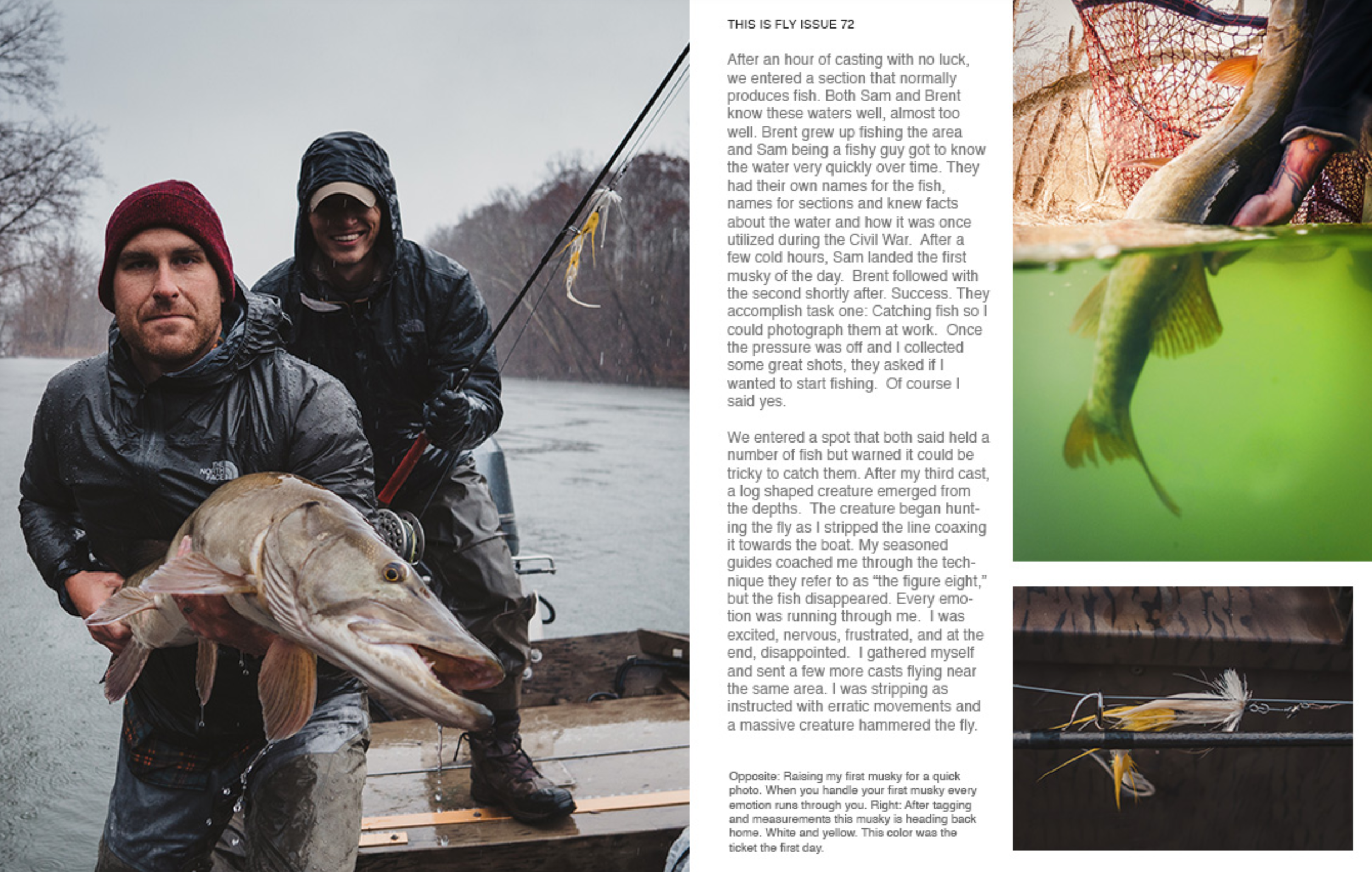 Screen Shot 2022-01-31 at 10.35.41 AM.png