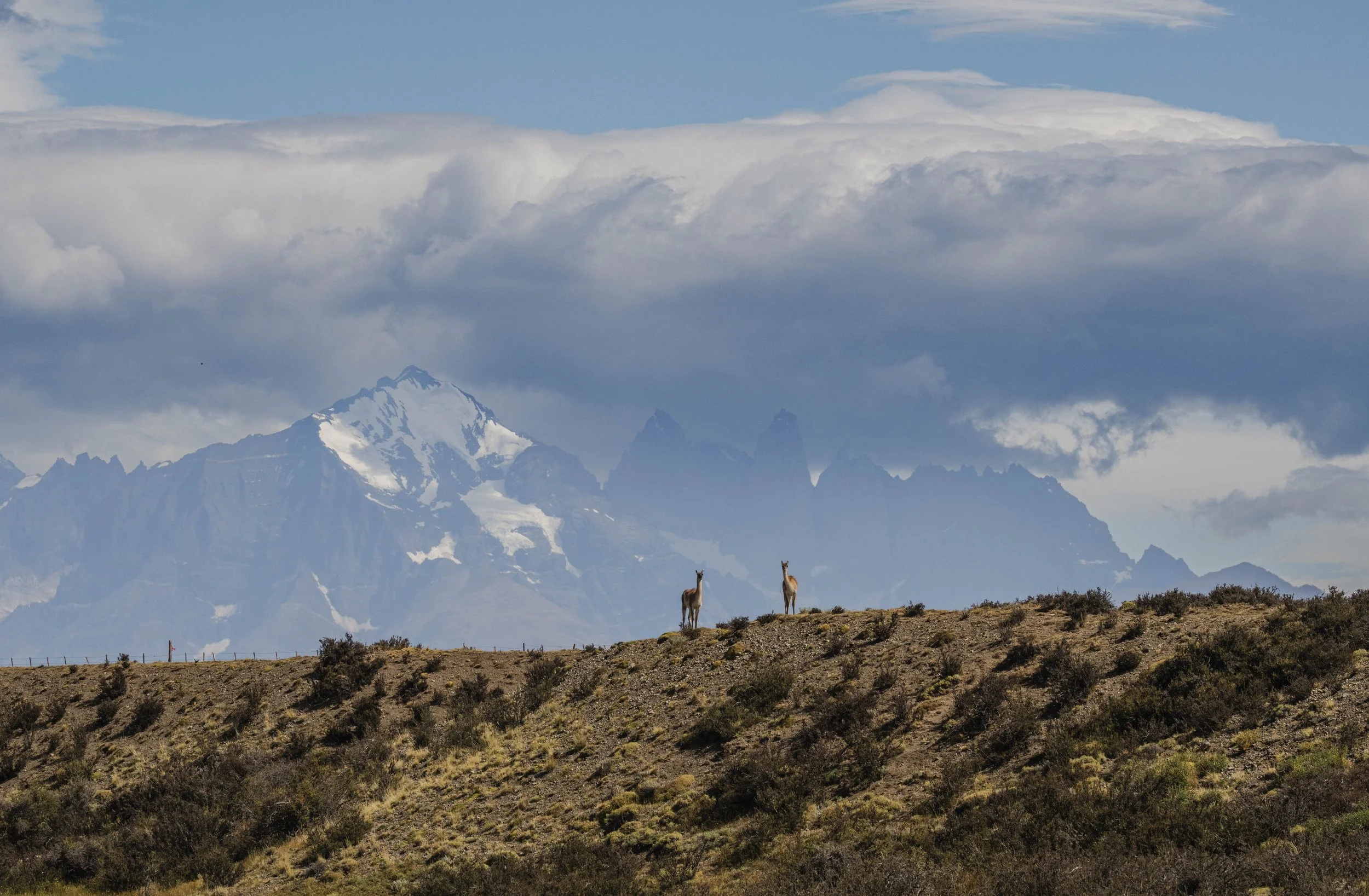 DFCpatagoniaWeb-25.jpg