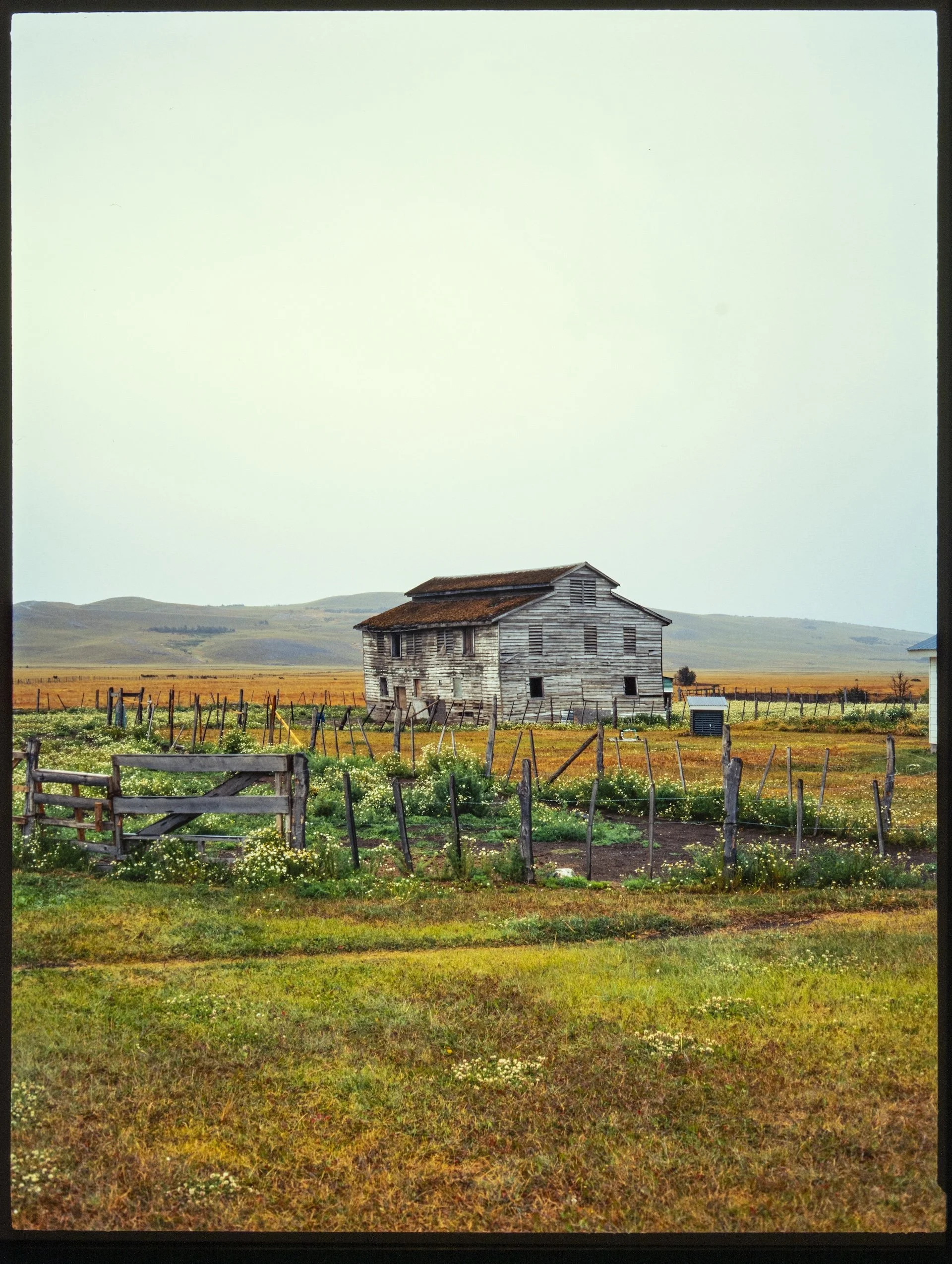 CoyFilm1.12.26-48.jpg