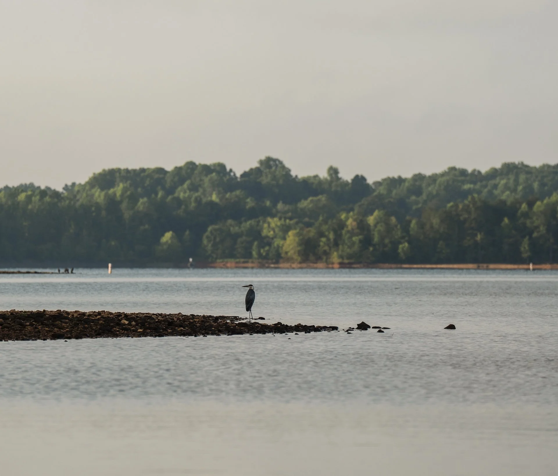 carpin-7.jpg