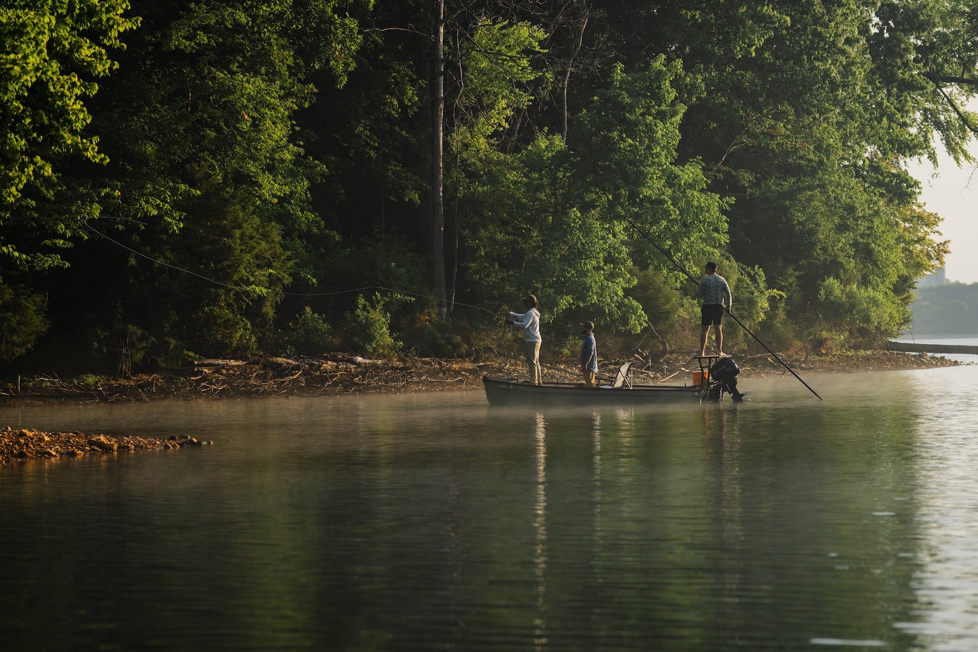 carpin-6.jpg