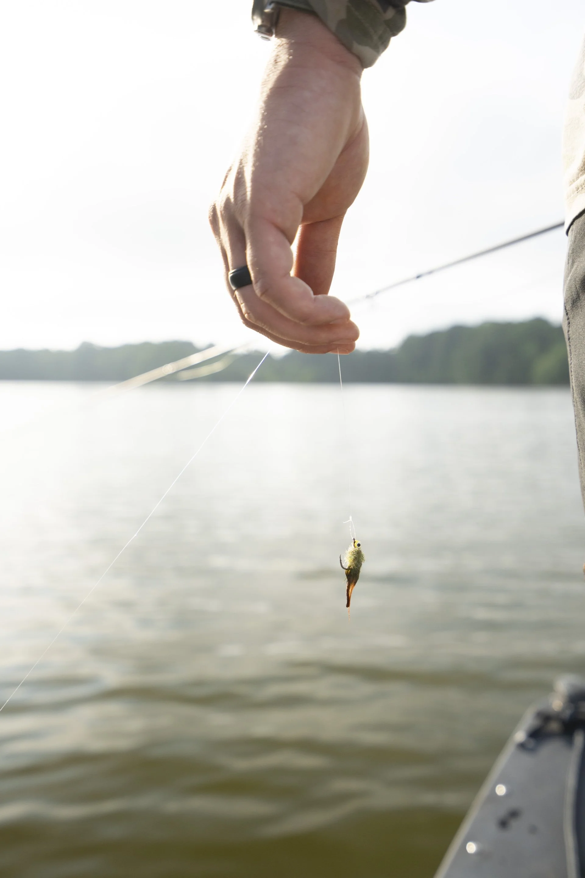 carpin-10.jpg