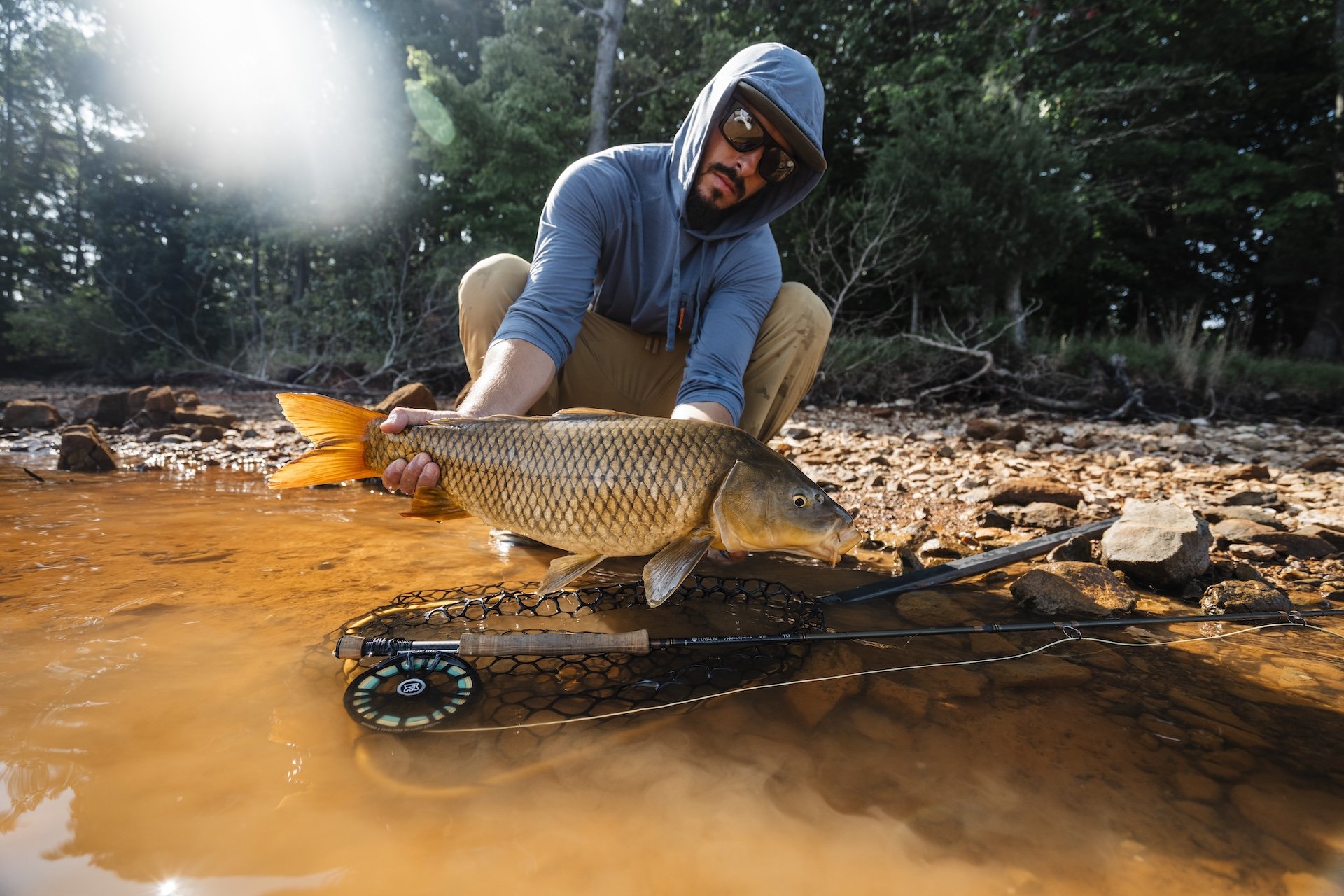 DFHardyCarp-10.jpg