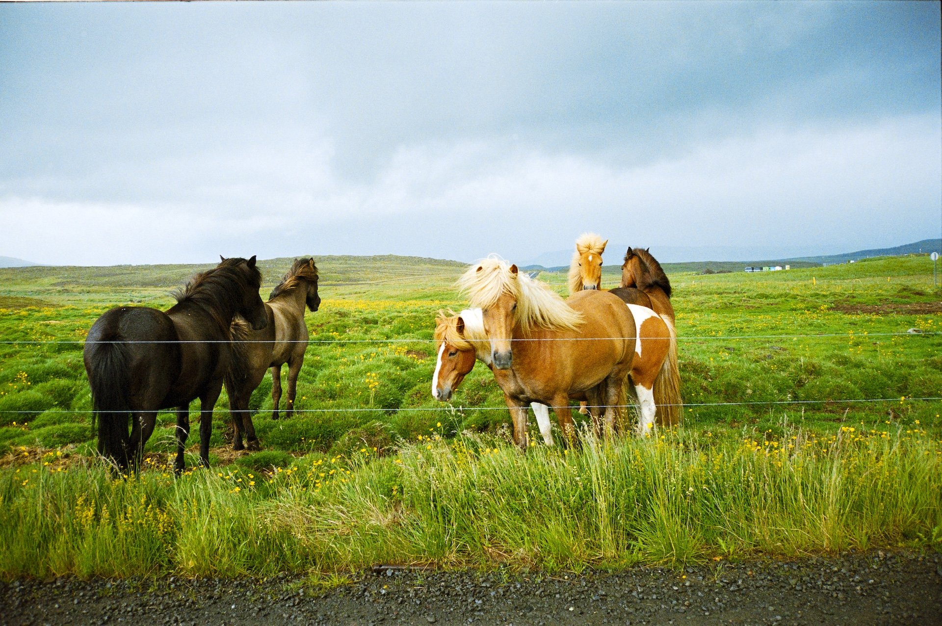 IcelandFilmDaveFason-38.jpg