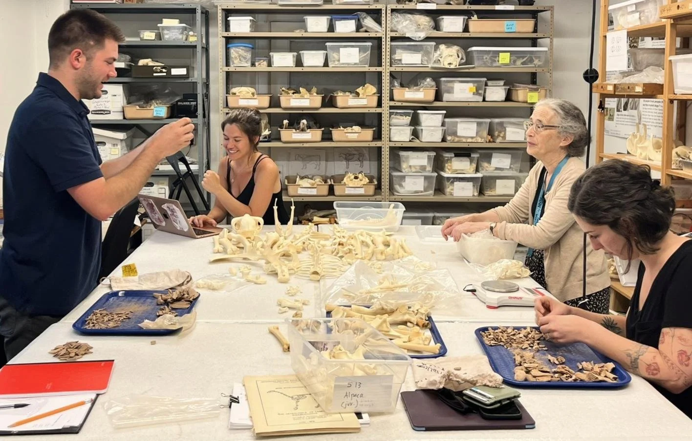 Animals in Historic Philadelphia: Food, Labor, and Industry