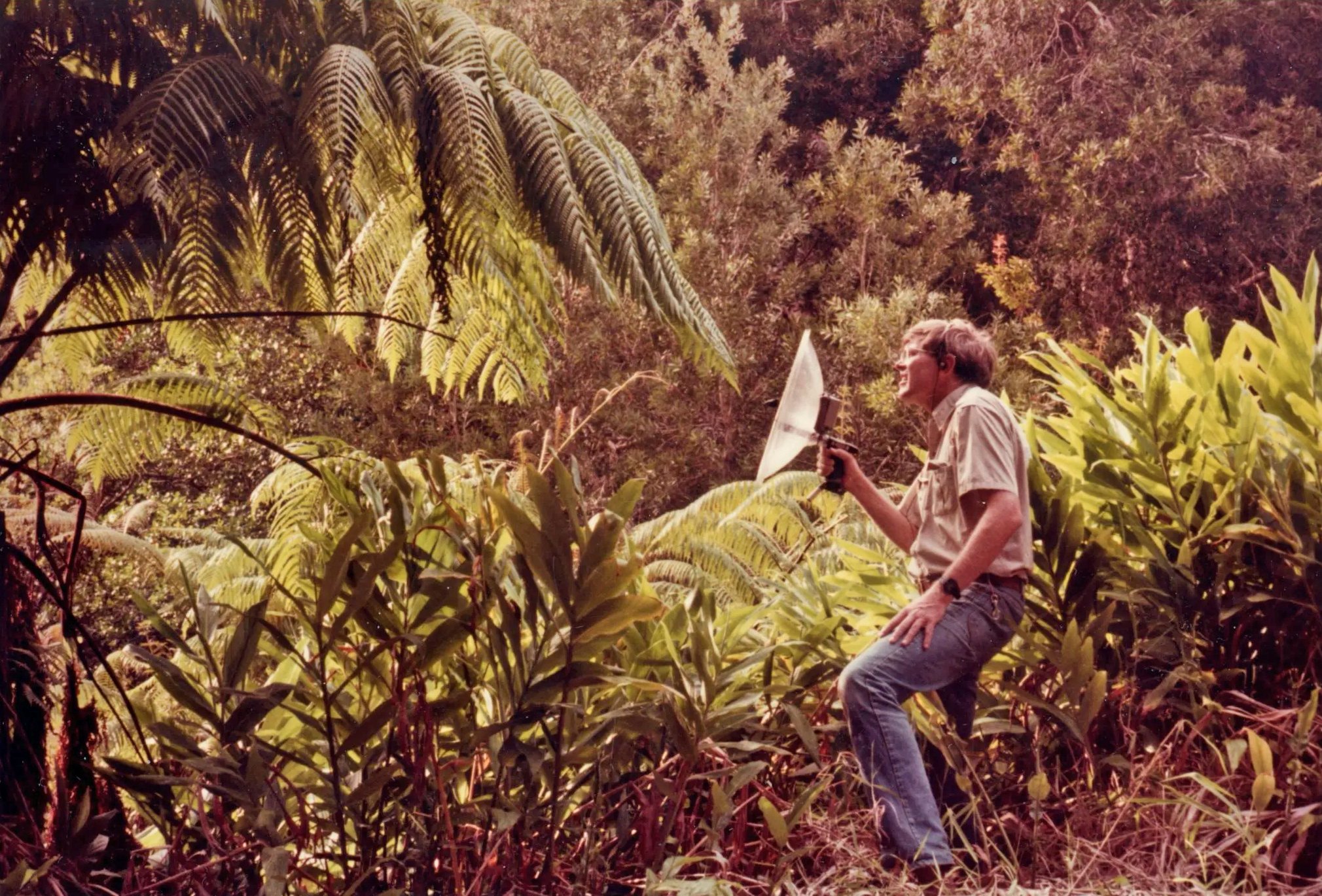 Grasshoppers, Crickets, and Katydids, Oh My!: Studying Acoustic Insects at the Academy of Natural Sciences Entomology Collection