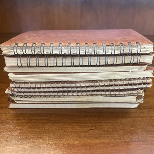 What can we learn from a closer look at scientific biographers?