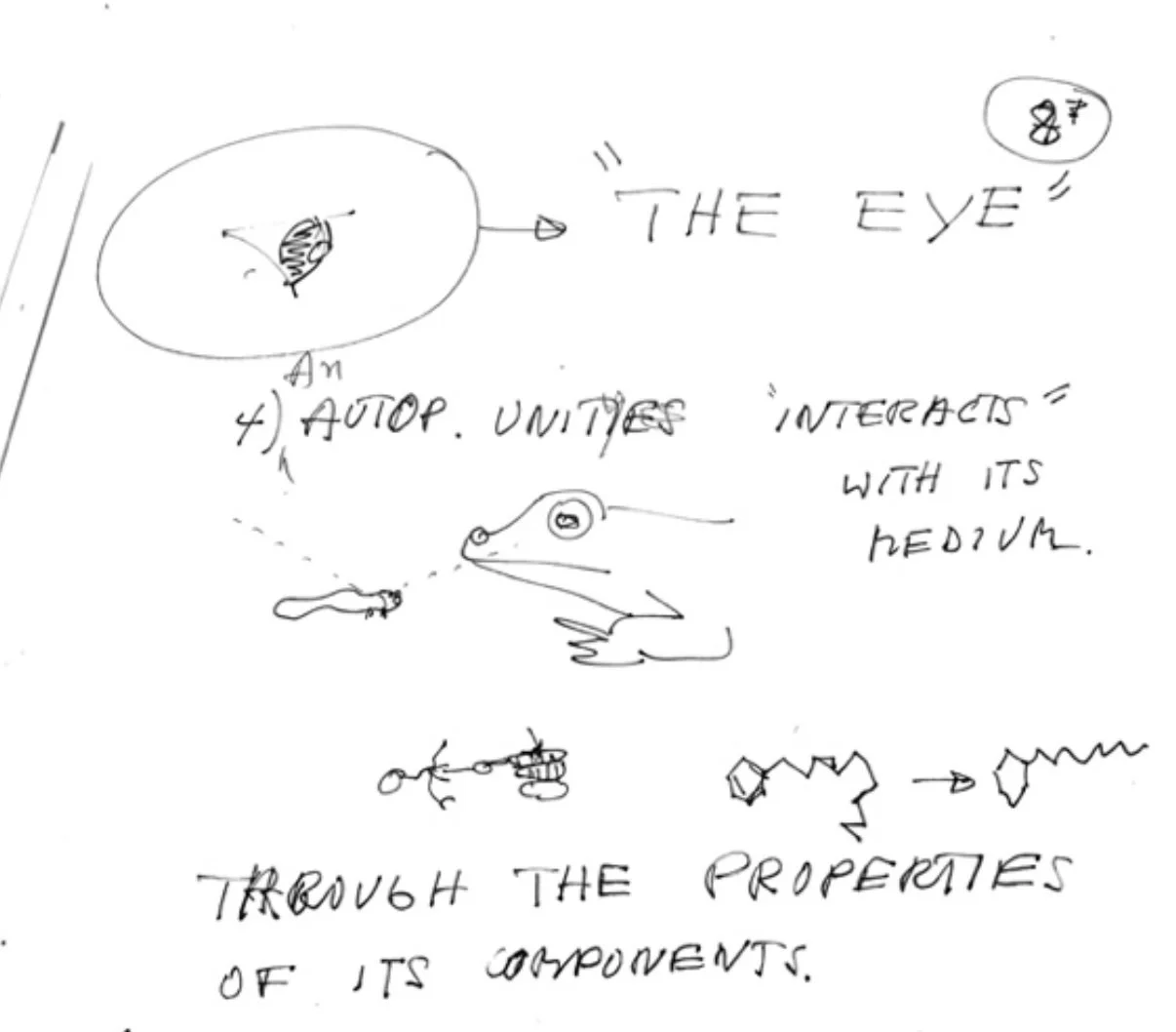 What Frogs and Octopuses Know (That ChatGPT Doesn't)