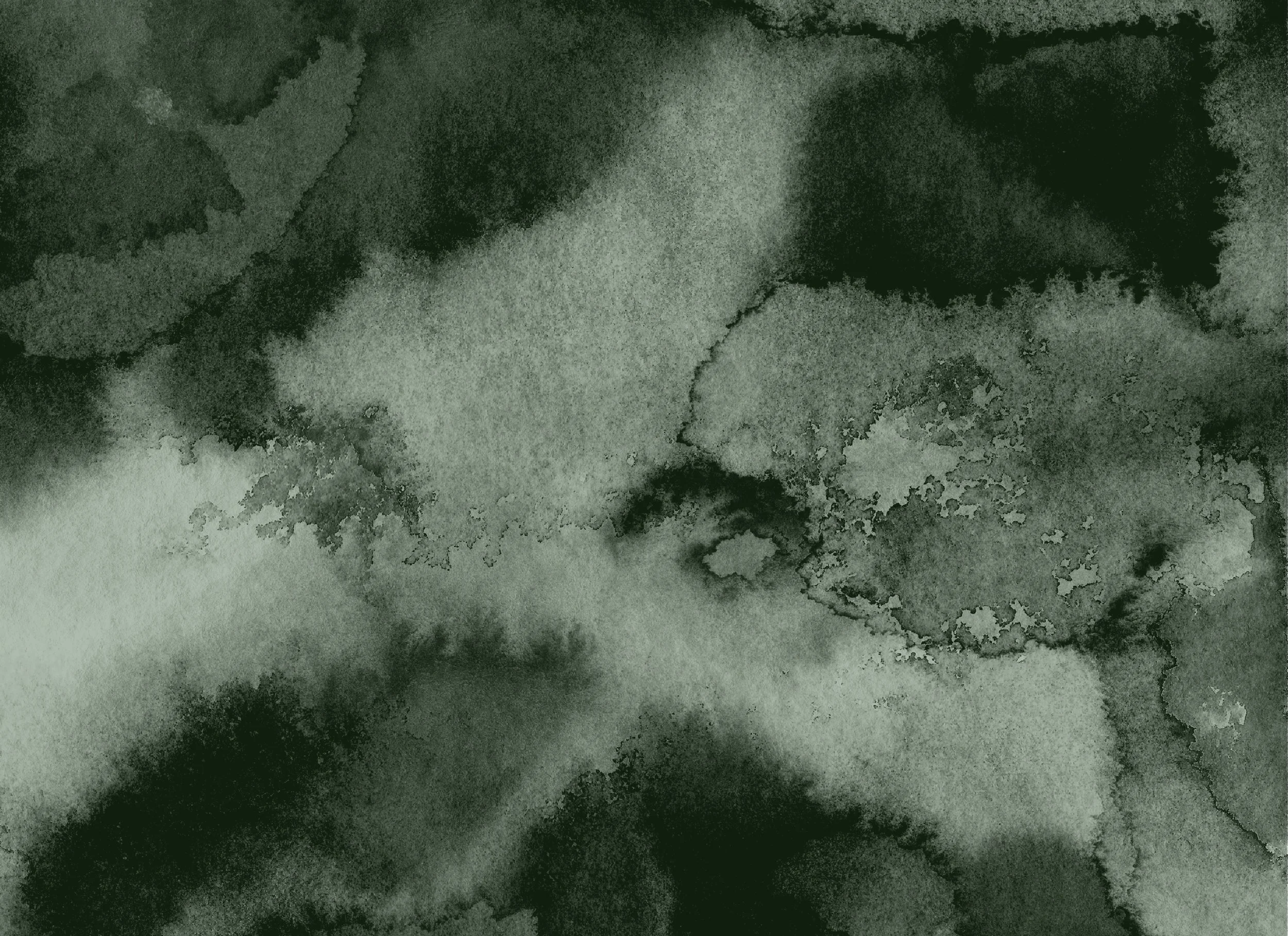 watercolorbranding copy.jpg