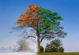 The Shape of a Shitty Year