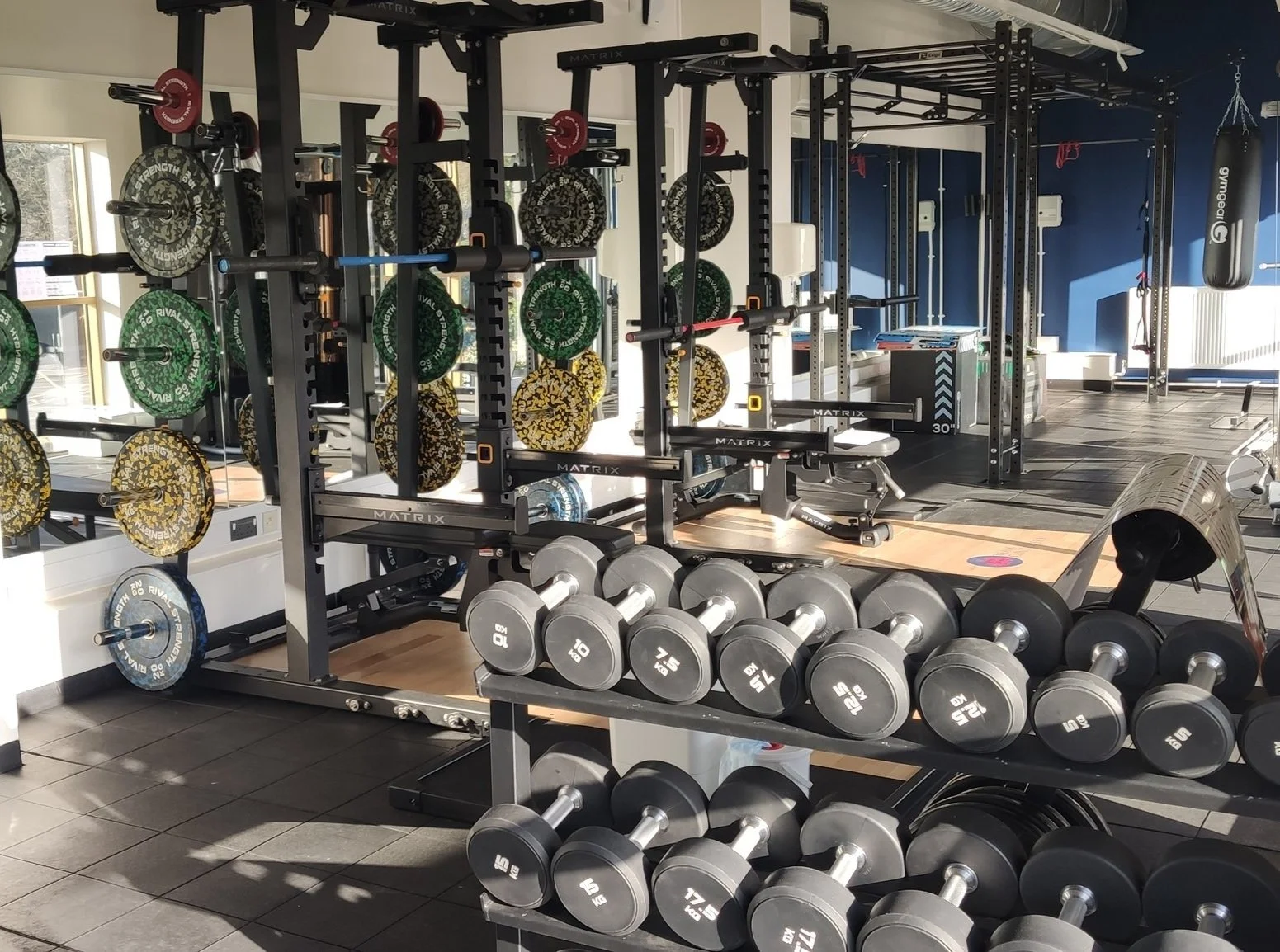 Gyms to Improve Student Focus and Reduce Stress Levels