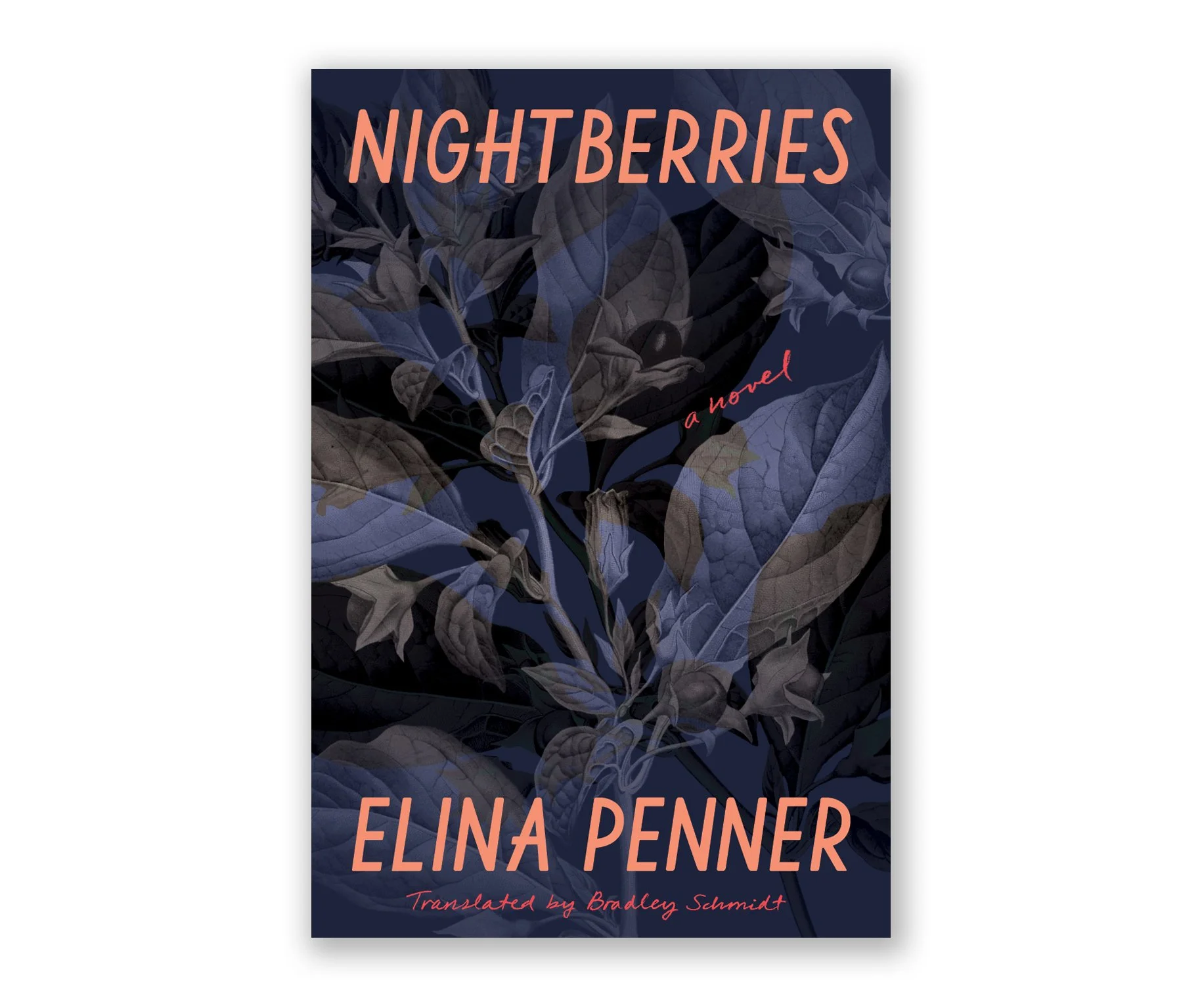 Nightberries-cover_website.jpg