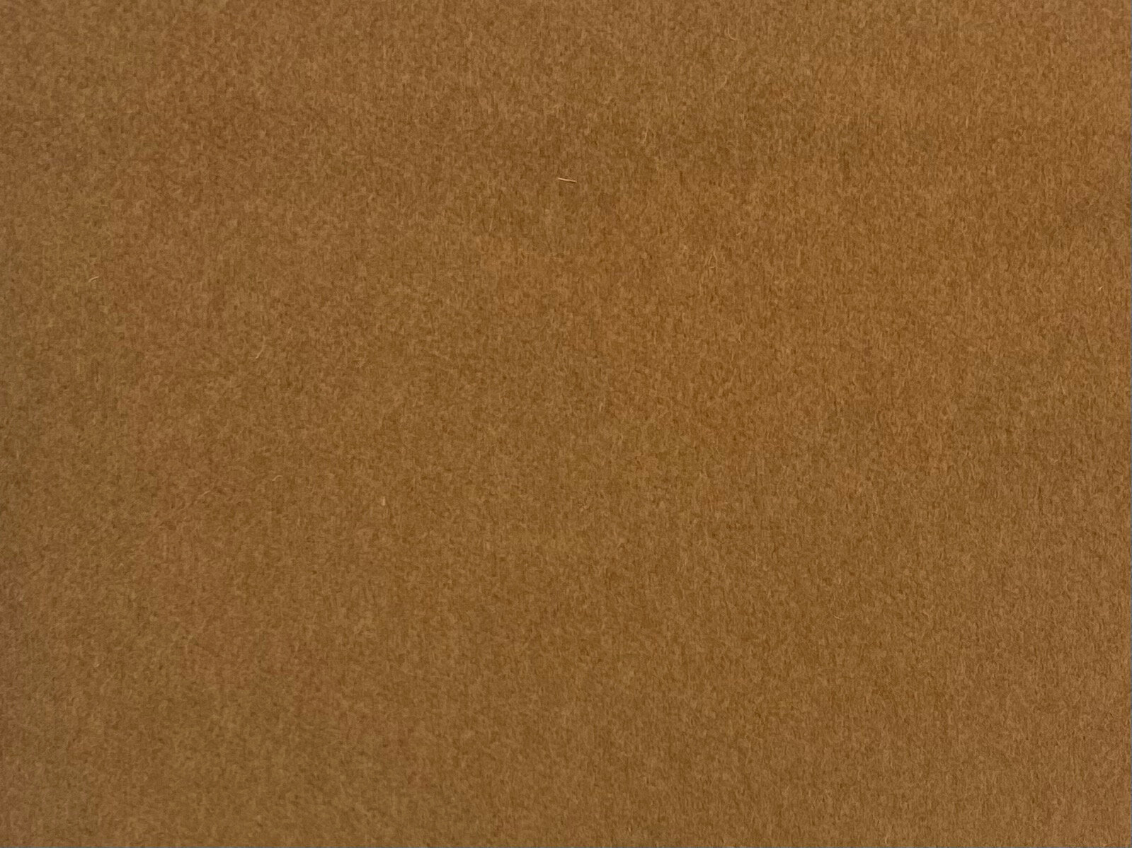 "VICUÑA BLAZERS" Vicuña Colour