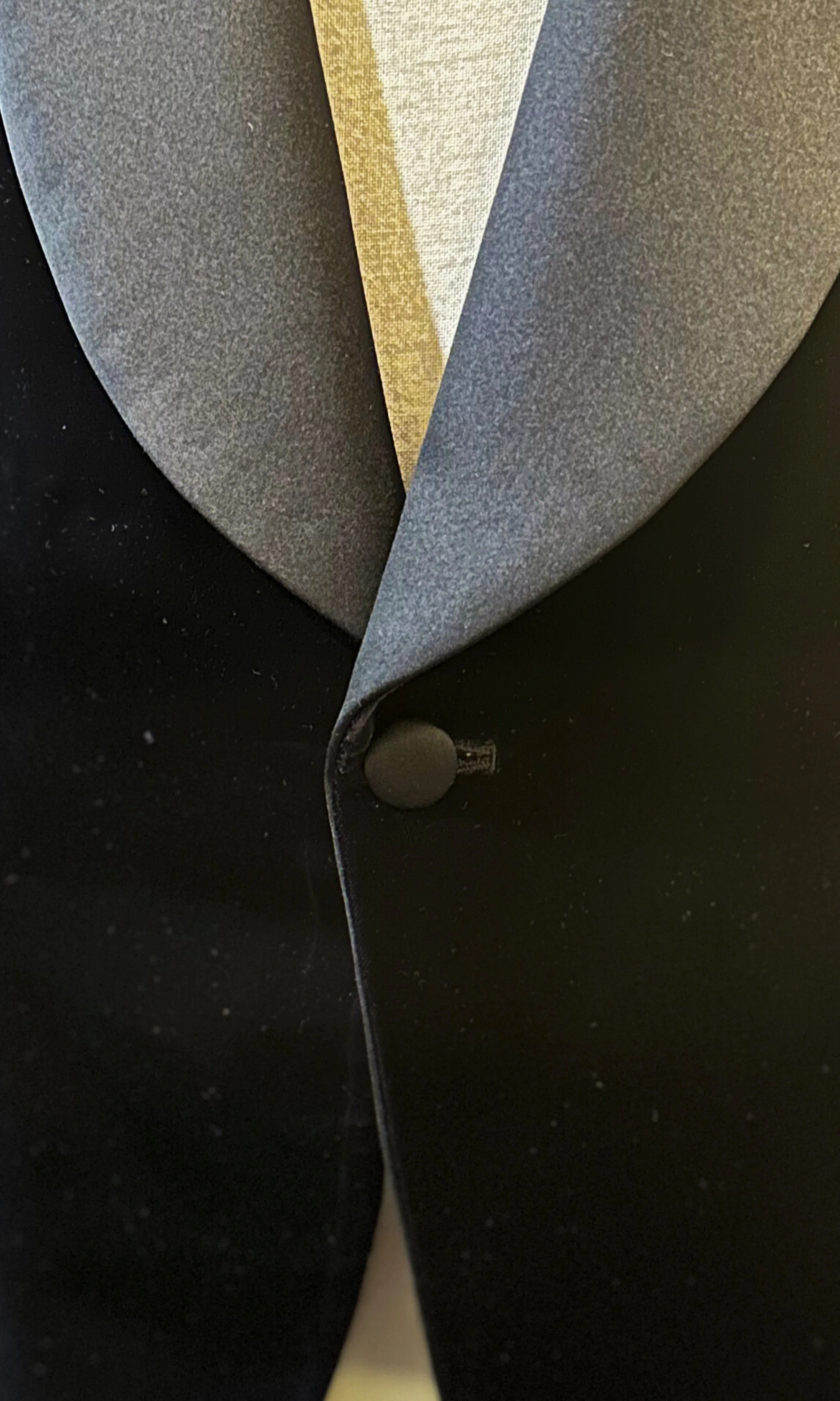 Purple Velvet Dinner Jacket