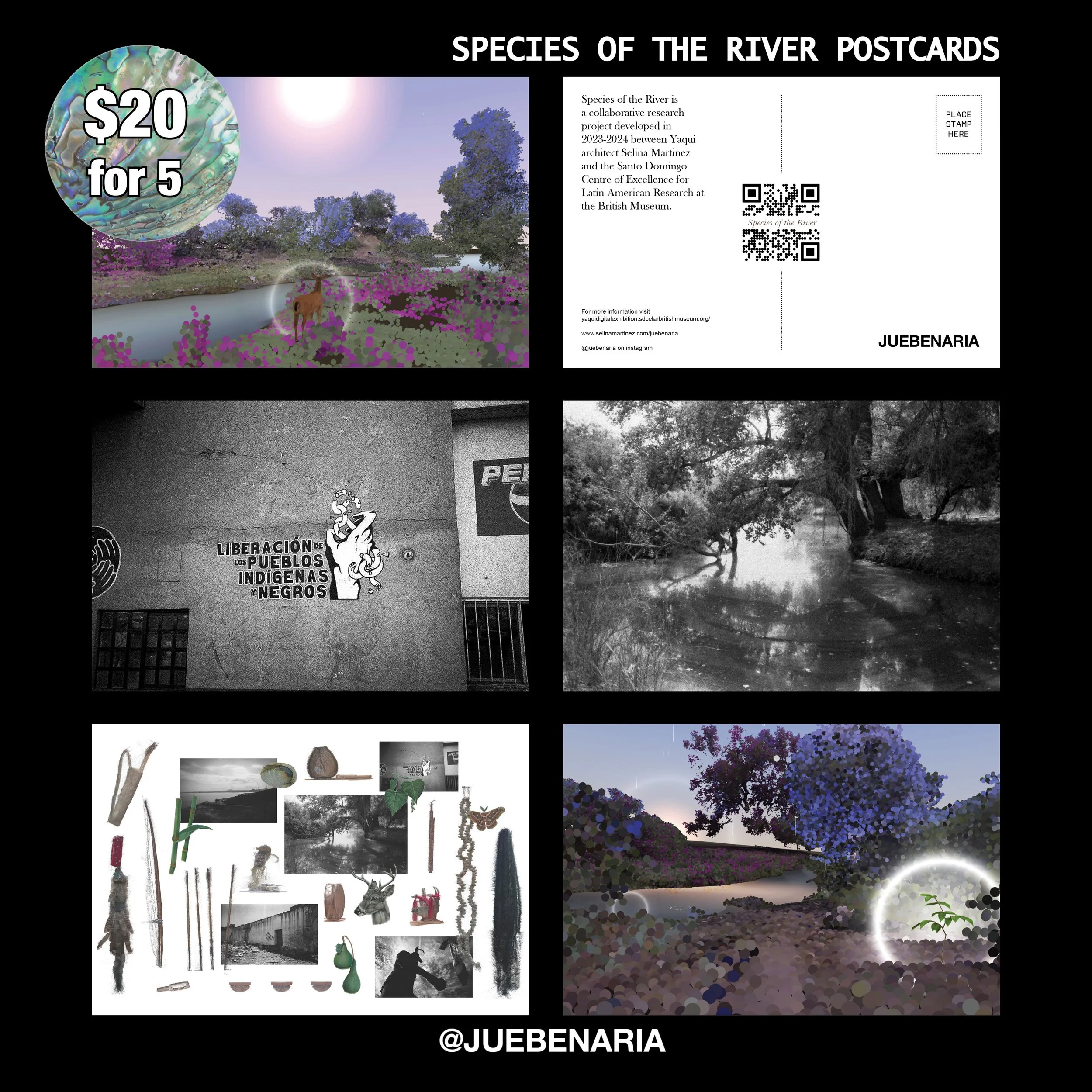 JUEBENARIA_speciesoftheriver_postcard-marketing-insta.jpg