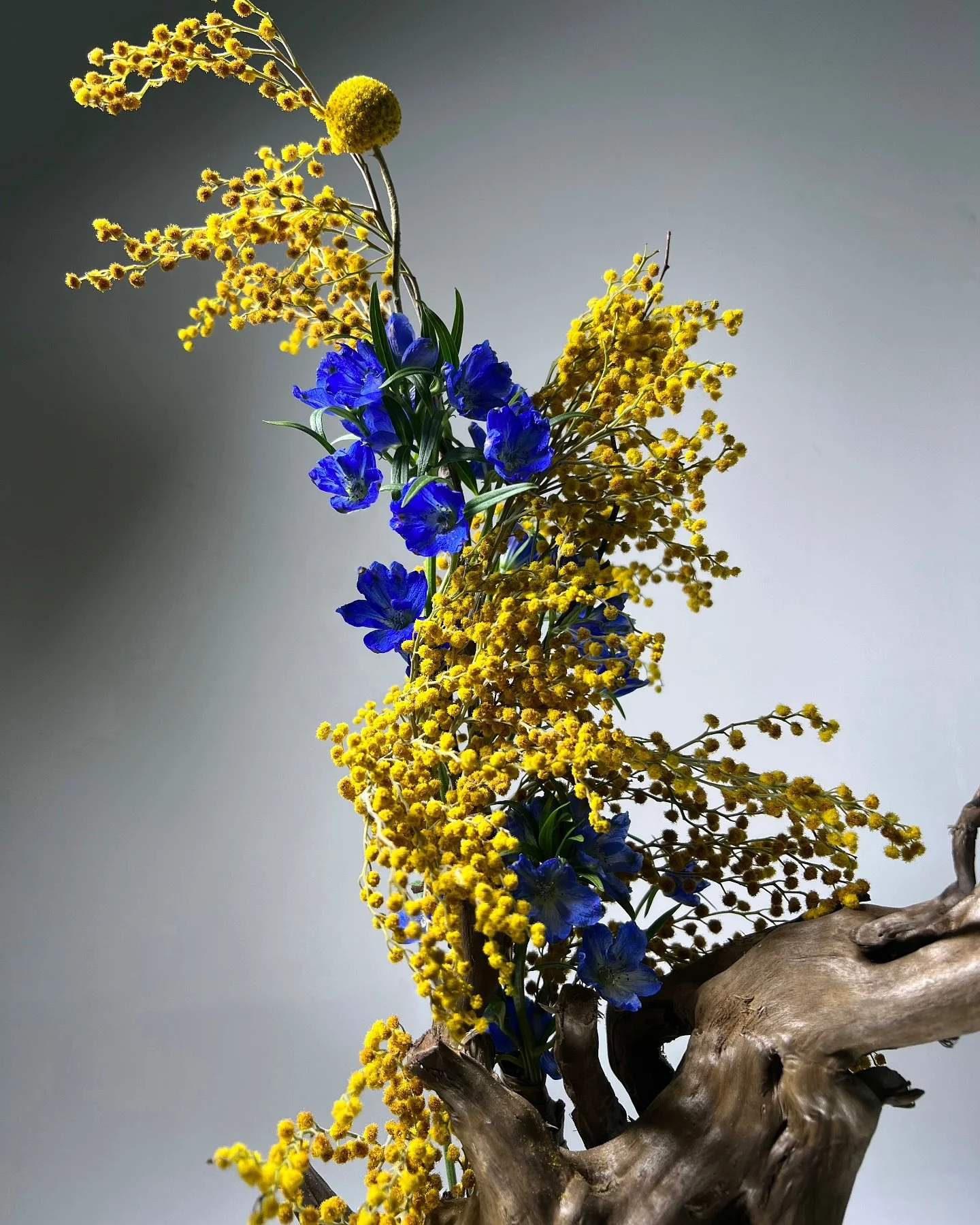 Happy international women&rsquo;s day ! Girl power 🫶🏼

#bouquet #hkflorist #hkfloraldesign #londonflorist #hkig #internationalwomensday #flowerofinstagram #flowerstagram #floral #flower #floristlife #floraldesign #flowerarrangement #flowereveryday 