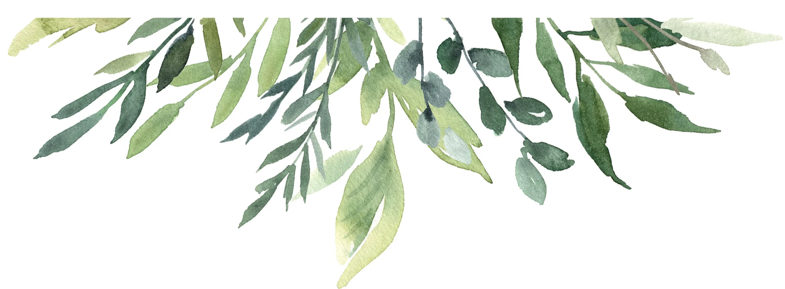 Watercolor+border.jpg