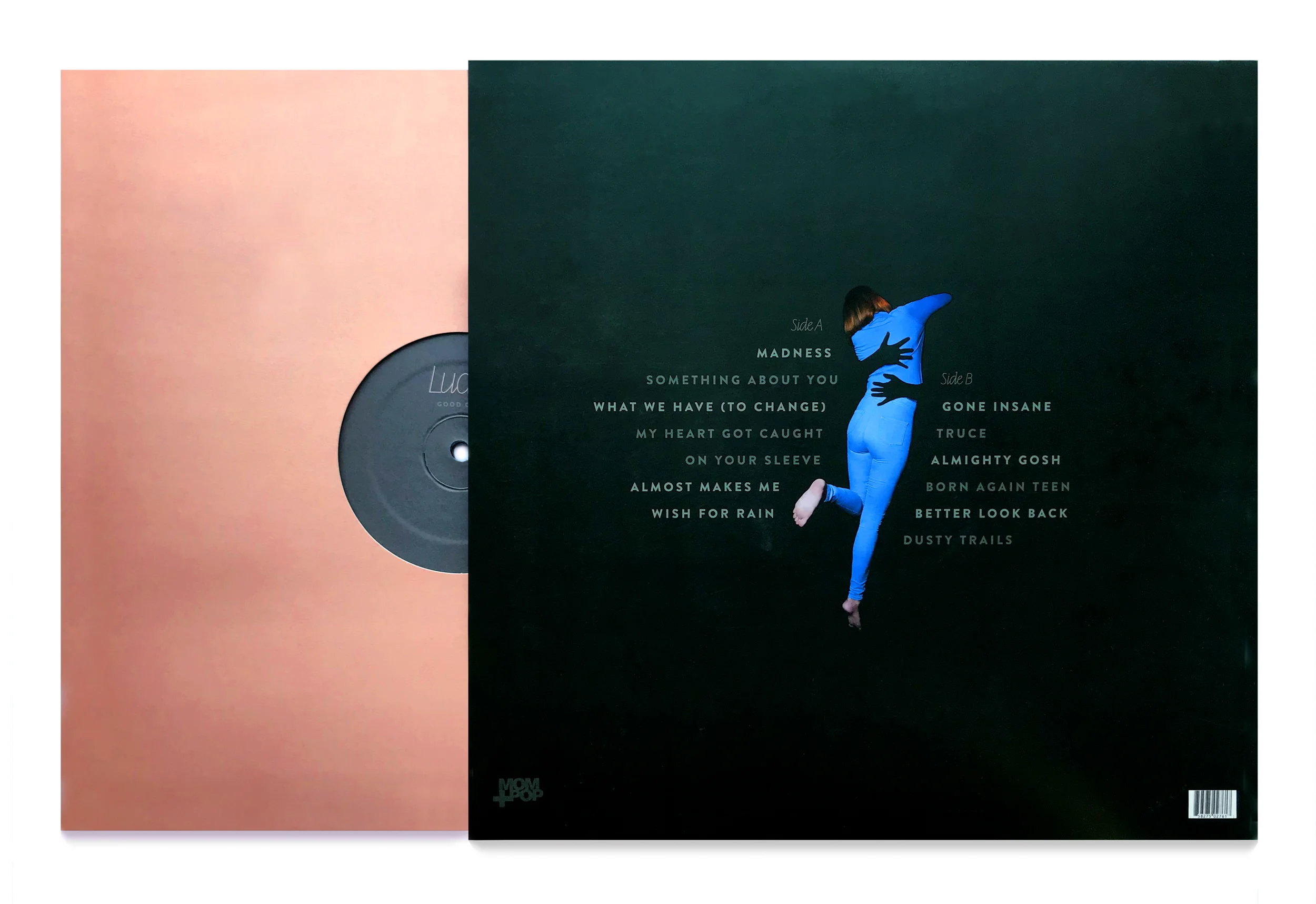 Vinyl Back Cover