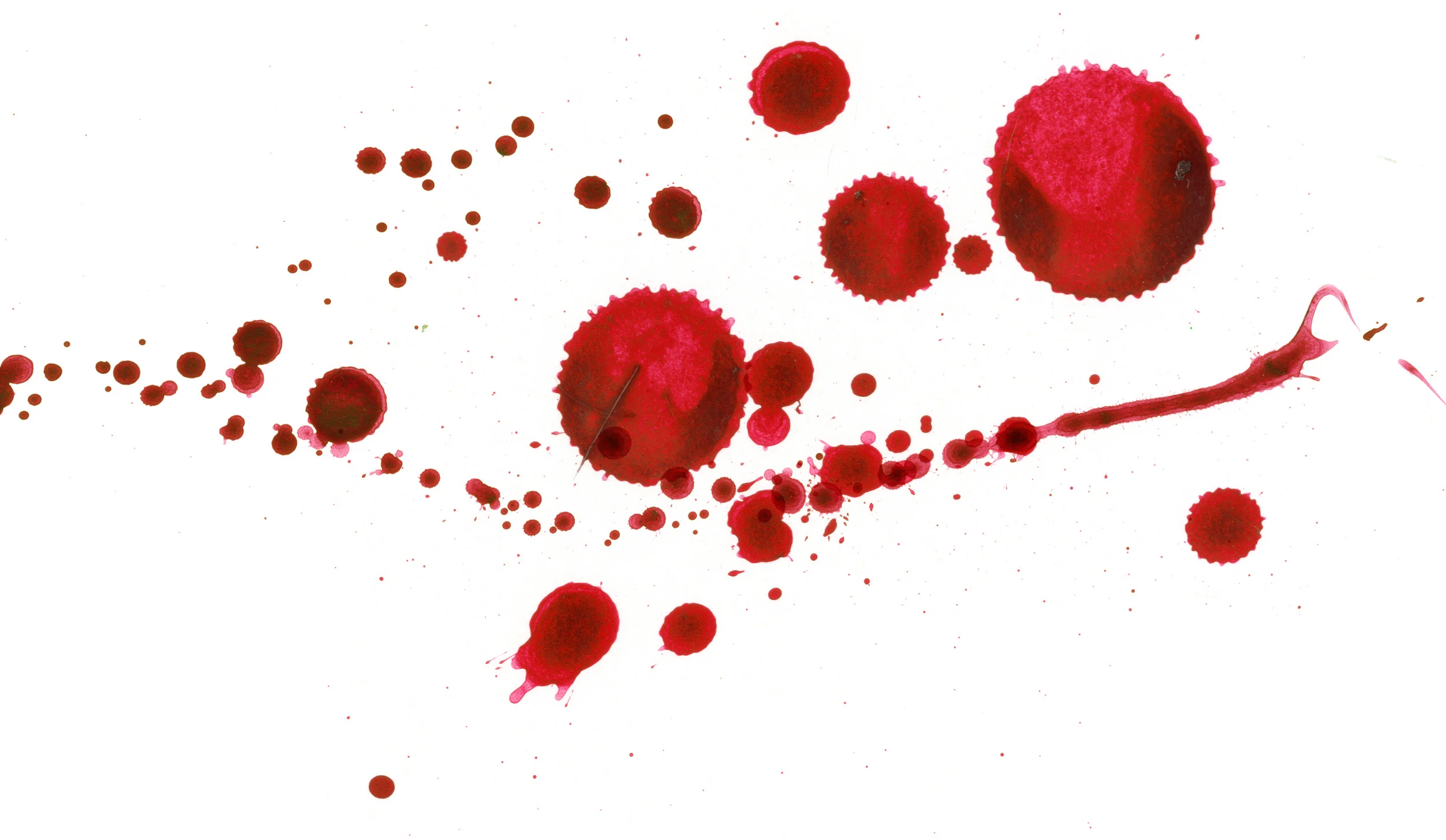 Illustrations: Jenni Ottilie Keppler