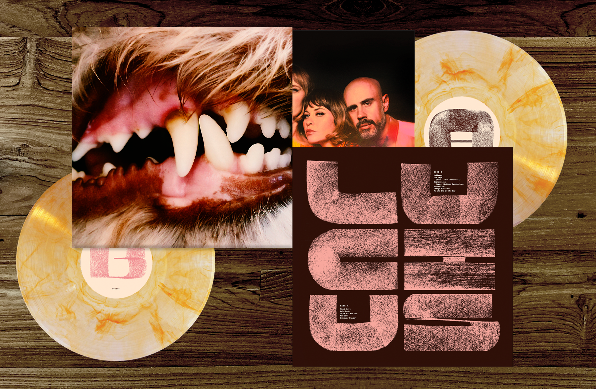 Lucius Index Image2.png