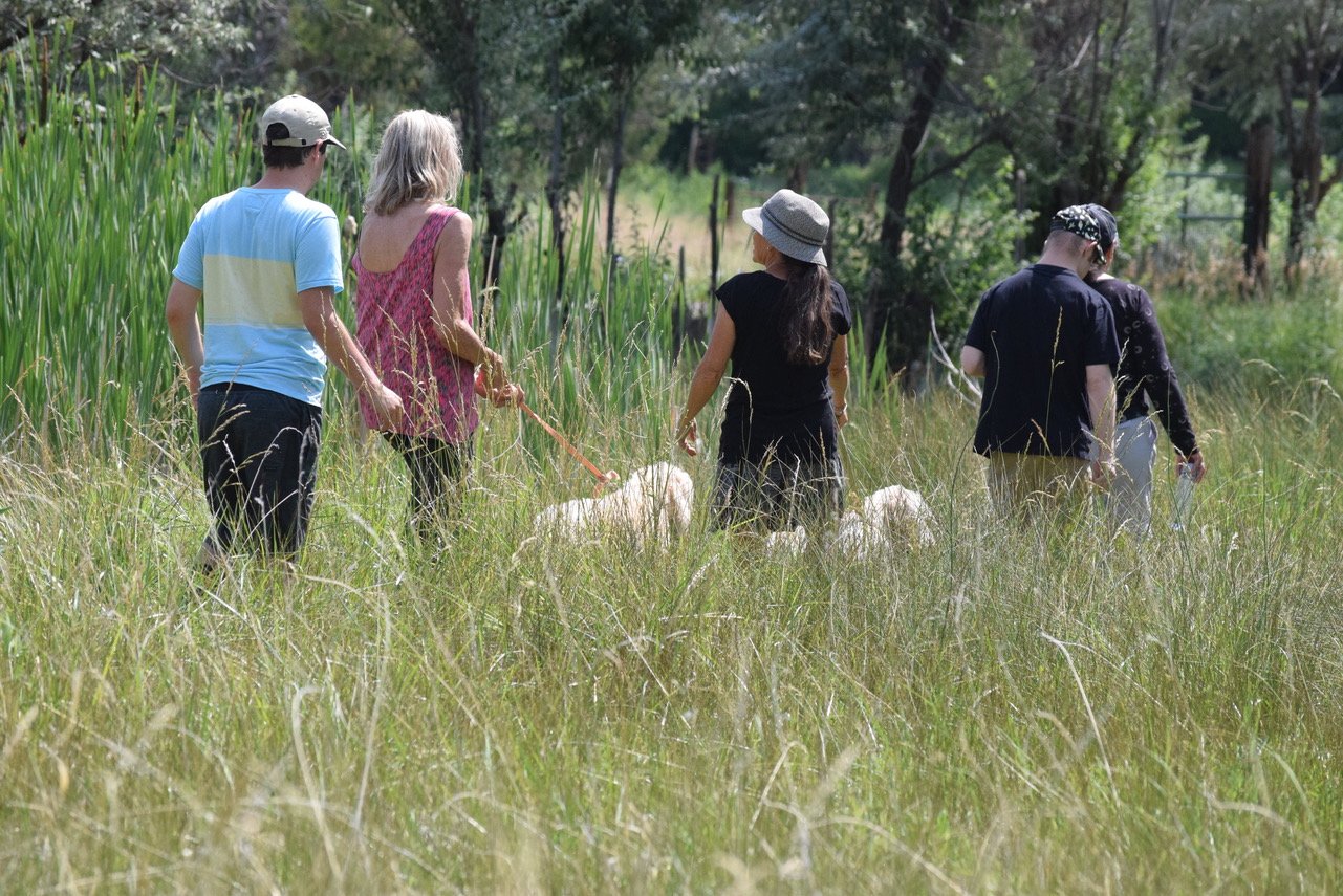 HCSL Walking to Pond.jpg